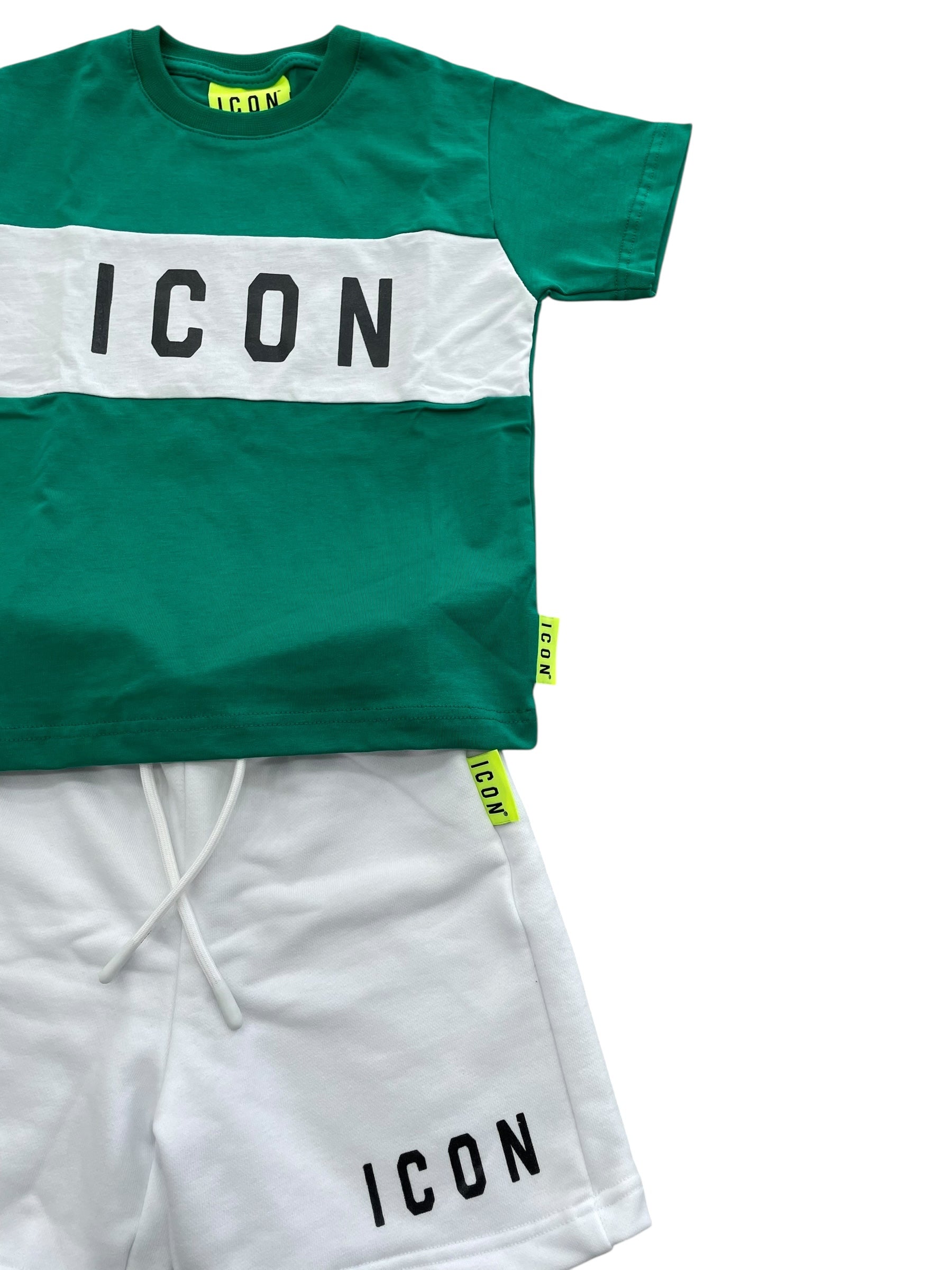 ICON INBFS00605  SUIT