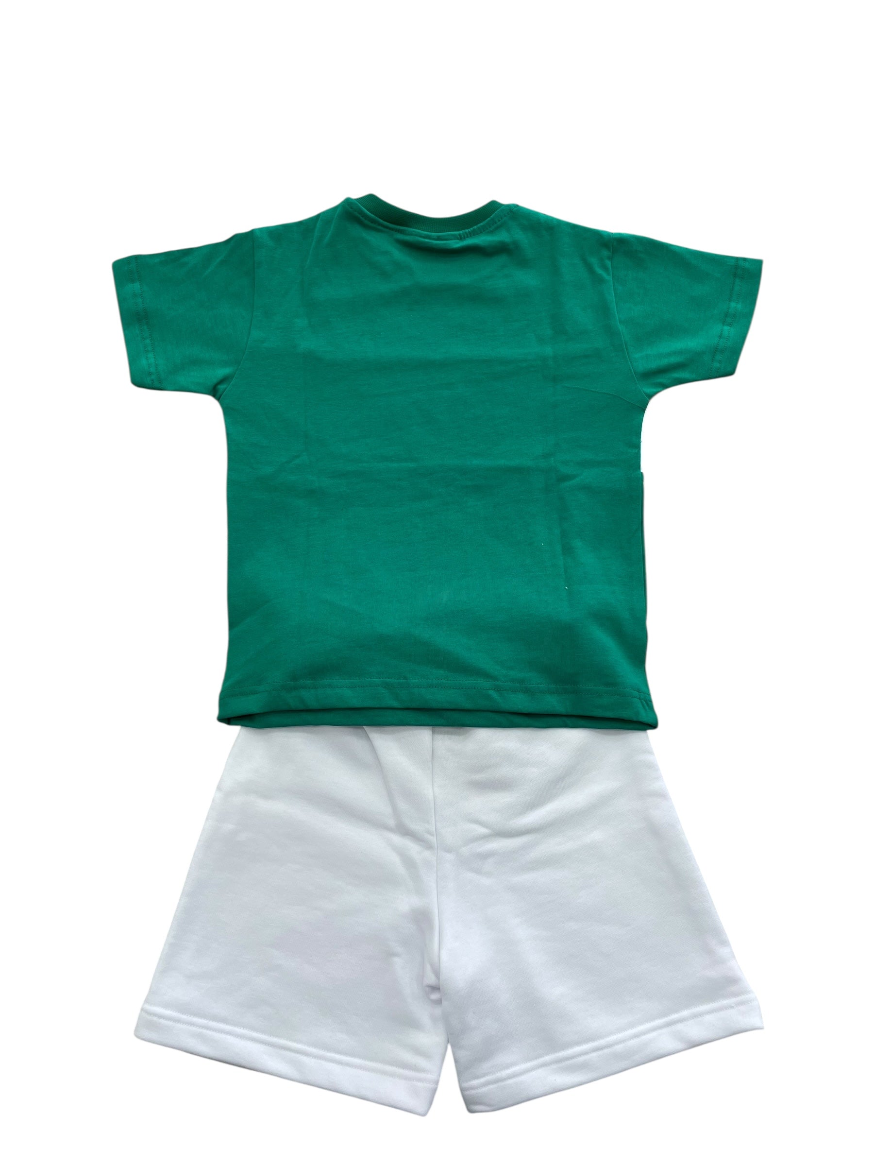 ICON INBFS00605  SUIT